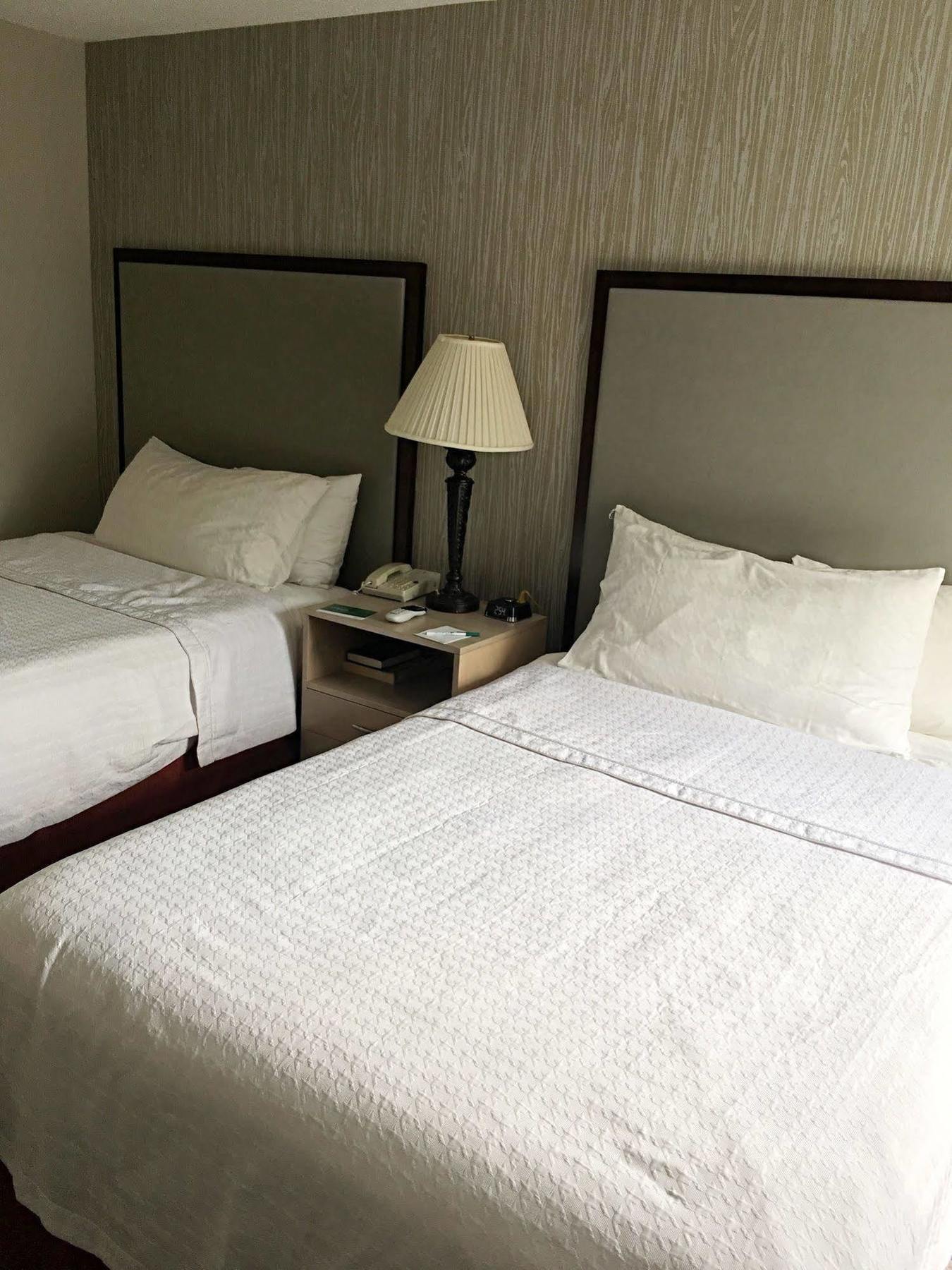 Homewood Suites By Hilton Chicago - Schaumburg Ngoại thất bức ảnh