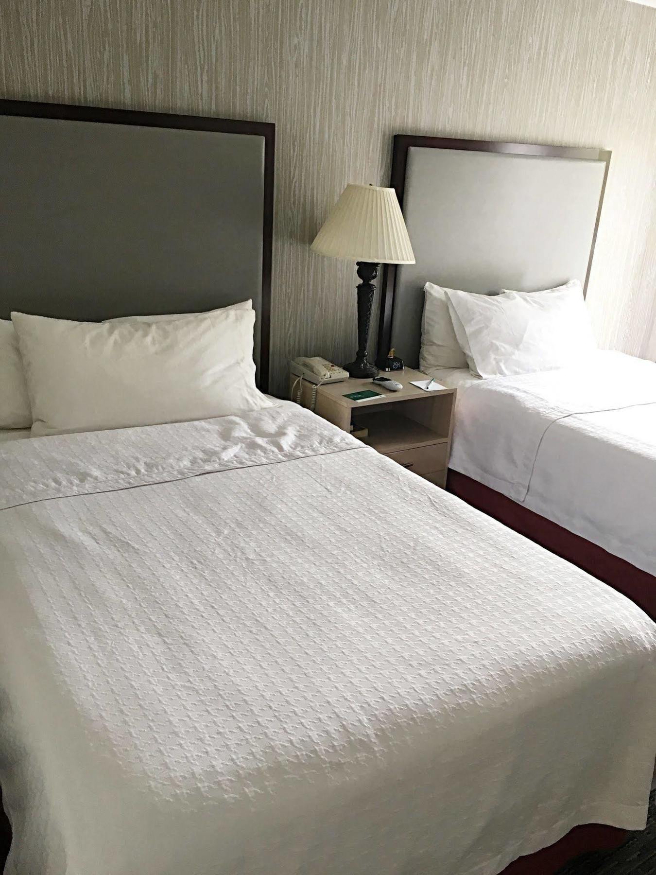 Homewood Suites By Hilton Chicago - Schaumburg Ngoại thất bức ảnh